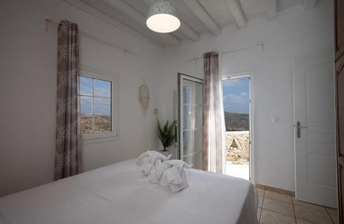Plintri Apartamento | Dual Apts with Pool Ideal for 10 Guests in Mykonos