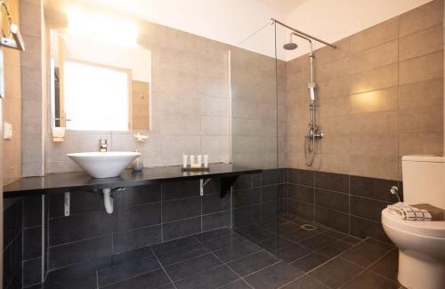 Plintri Apartamento | Dual Apts with Pool Ideal for 10 Guests in Mykonos