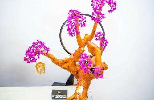 Cat Hai Hotel | Duc Duy Hotel Cat Ba