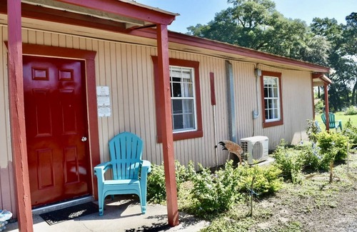 Trilby Apartamento | Duck Haven - Country Stay - 6 millas hasta la I-75