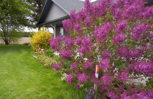 Leamington Cabaña | Duck Pond Bed & Breakfast Cottage