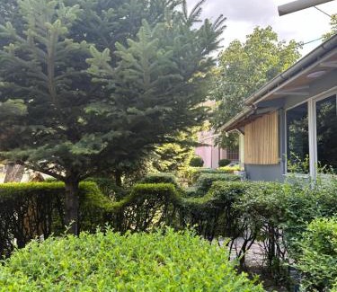 Korce Apartamento | Dukati Guesthouse