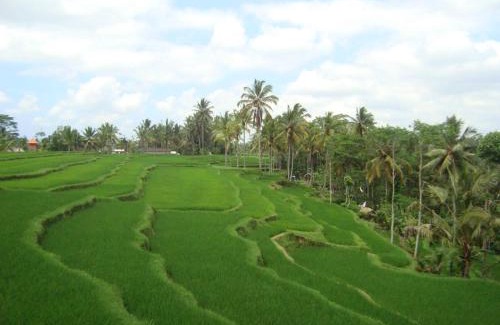 Kenderan Casa | Dukuh Village Villas & Art