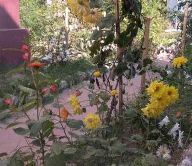 Jorhat Chalet De Esquí | "Dulce Hogar" homestay
