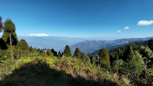 Darjeeling Casa | Dumfu Homestay
