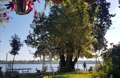 Vojvodina Casa | Dunavski Plicak- house on the Danube with a beautiful view