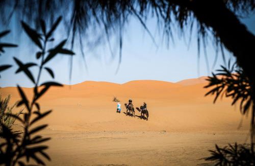 Hassilabied Cama Y Desayuno | Dune House