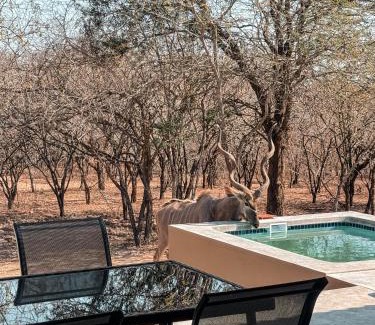 Marloth Park Apartamento | Dung Beetle Bush Villa