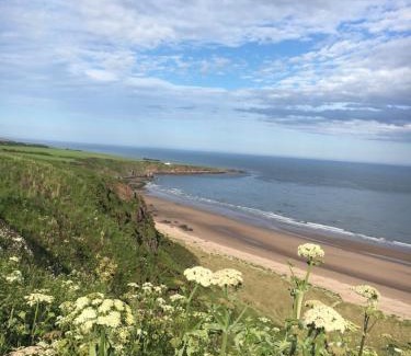 Stonehaven Casa | Dunnottar Woods Cottage