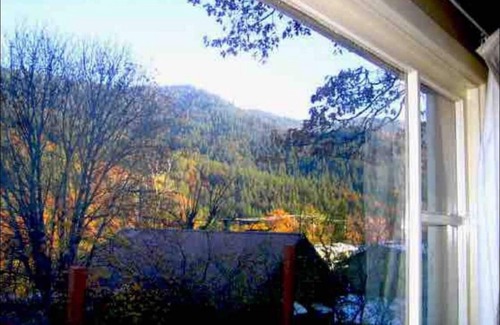 Dunsmuir Cabaña | Dunsmuir Tin Roof Cottage