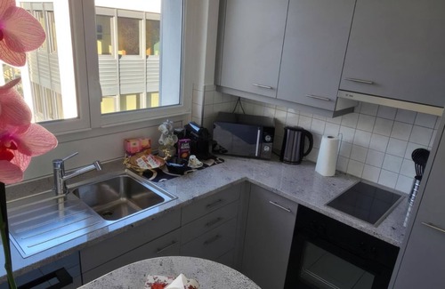 District 8 Apartamento | Duplex Dream Lake View Gold Coast 3 km from Zurich