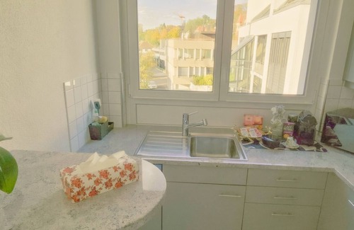 District 8 Apartamento | Duplex Dream Lake View Gold Coast 3 km from Zurich