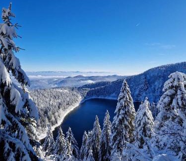 Orbey Apartamento | Duplex F2 au pied des pistes du lac blanc