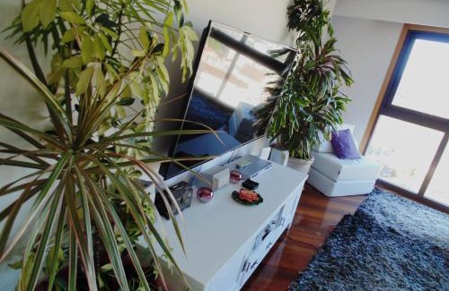 Ourense Apartamento | Duplex grandes cristaleras impresionantes vistas