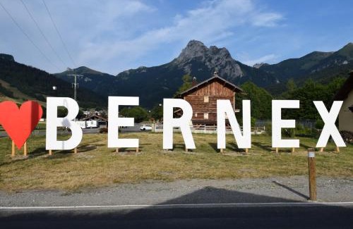 Bernex Apartamento | Duplex montagnard cosy pour 6, près des pistes, équipé et confortable à Bernex - FR-1-498-31