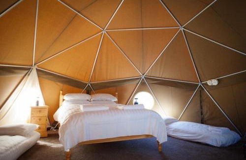 Trinity Otro | Durrell Wildlife Camp