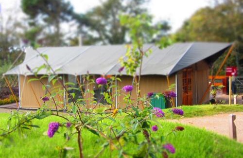 Trinity Otro | Durrell Wildlife Camp