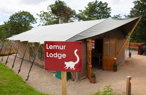 Trinity Otro | Durrell Wildlife Camp