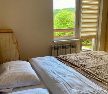 Skole Casa | Dvir