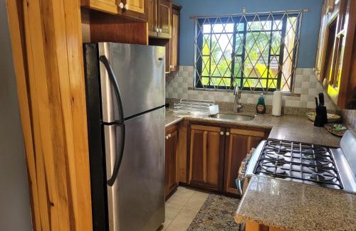 Mandeville Apartamento | Dw apartments with garage and hot tub