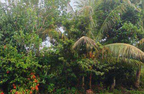 Mysore Casa | Dwaraka Nature Home Stay