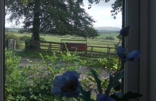 Mauchline Otro | Dykefield Farm B&B