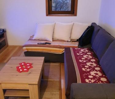 Bajina Basta Chalet De Esquí | Dzemper Cottage House