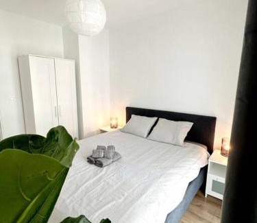 Rzeszow Apartamento | Dzielnica Parkowa #7