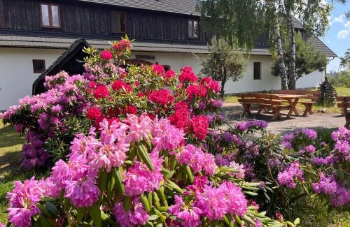 Dziemiany Casa | Dzika Zagroda