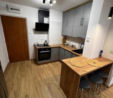 Orneta Apartamento | Dziupla