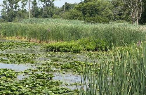 Amherstburg Casa | E&S Lake House Retreate&S Lake House Retreat