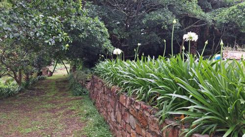 Port Elizabeth Chalet De Esquí | Eagle Owl Cottage