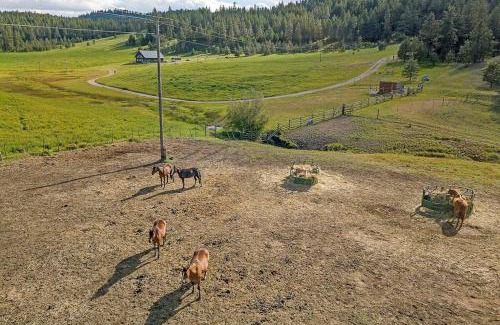 Oroville Apartamento | Eagle's Roost Cabin - Eden Valley