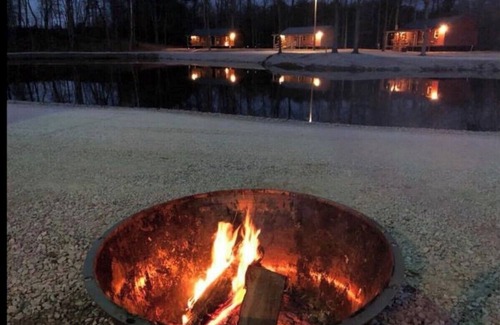 Westphalia Cabina | Eagles Nest Camping Black Creek Cabin