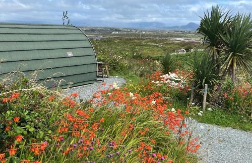 Connemara Otro | Earls View Maxi Pod