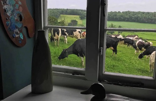 East Horrington Cabaña | Easel Cottage near Wells: comfortable quirky cosy