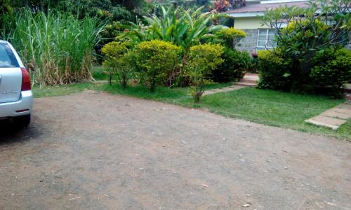 Nairobi Casa | East of Eden
