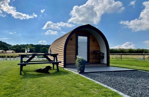 Pontesbury Otro | Eastridge Glamping - Camping Pods