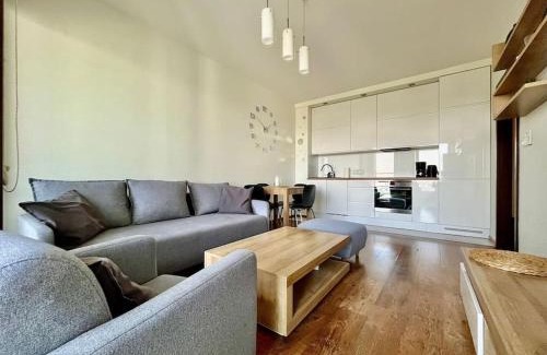 Lublin Apartamento | EASY RENT- Metropolitan 2 Free Parking, Hala Globus, 24h Check-in, Zana