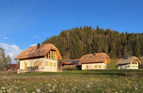 Gnesau Chalet De Esquí | Ebner 1822 - Holiday cottage