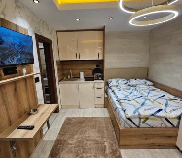 Lisina Apartamento | Ebra 75 Kraljevi Cardaci Kopaonik