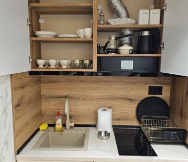 Lisina Apartamento | Ebra 75 Kraljevi Cardaci Kopaonik