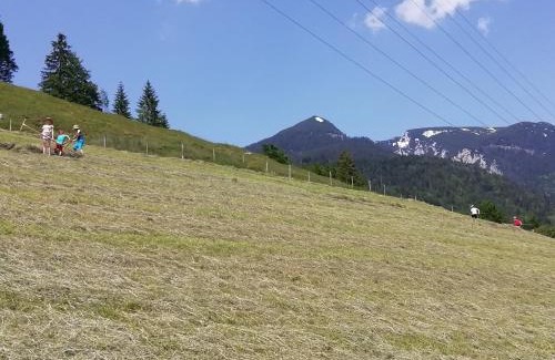 Schneizlreuth Apartamento | Eckarthof