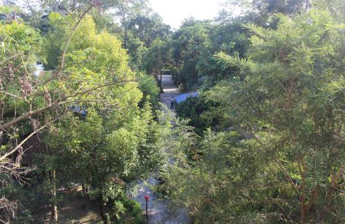 Sauraha Hotel | Eco Adventure Resort