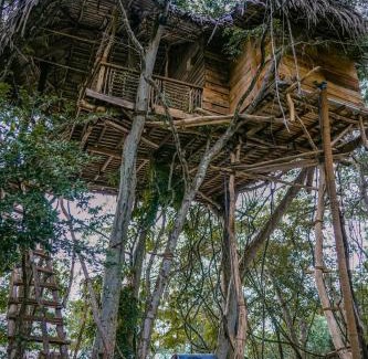 Thanamalvila Hotel | Eco Bliss Cottages - Thanamalwila