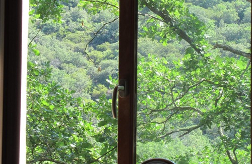 Cassagnoles Casa | Eco cabaña en Monts et Merveilles, piscina, ribera, 3 ha de naturaleza.