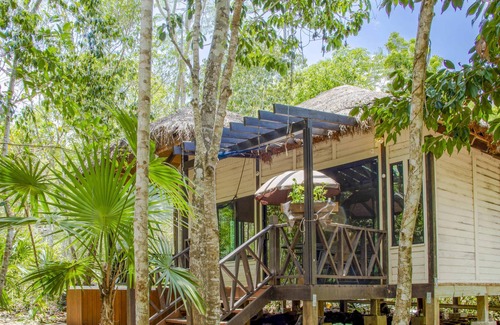 Leona Vicario Cabina | Eco friendly cabin & jacuzzi | Ruta de los Cenotes