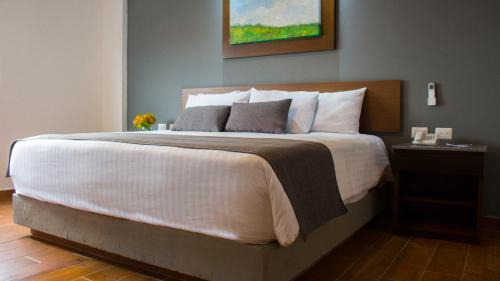 Zona Expo Hotel | Eco Hotel Guadalajara Expo