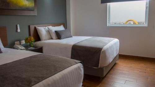 Zona Expo Hotel | Eco Hotel Guadalajara Expo