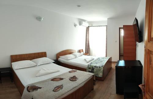 Sulina Casa | Eco House